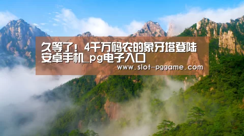 pg电子游戏