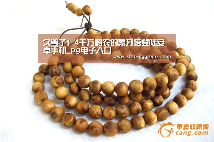 pg电子入口
