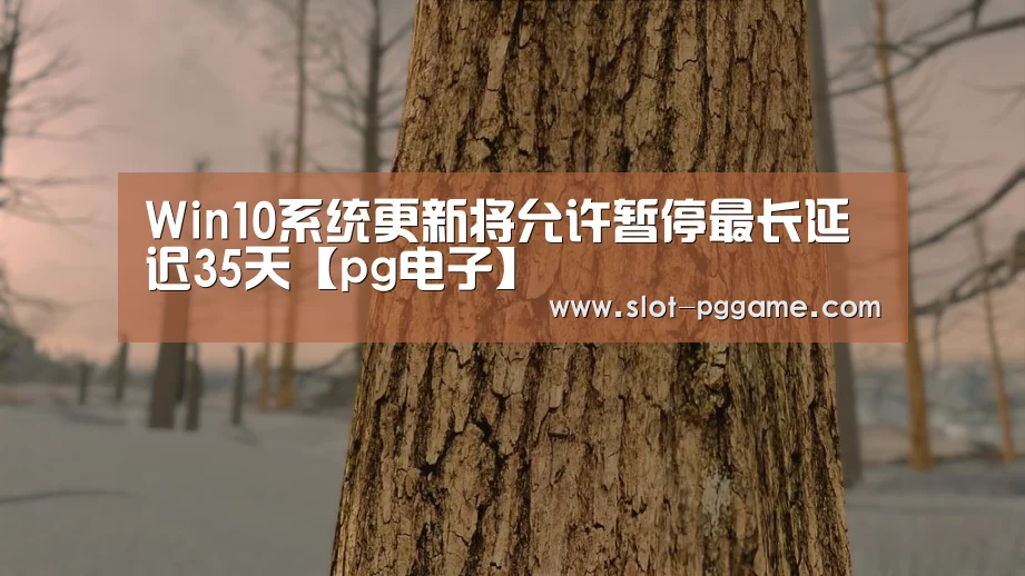 Win10系统更新将允许暂停最长延迟35天【pg电子】(图4) pg电子入口